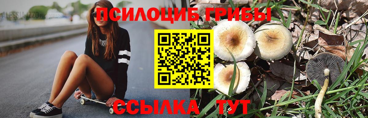 дарнет шоп  Вход с VPN  Солнечногорск  Псилоцибиновые грибы Magic Shrooms  Псилоцибиновые грибы Magic Shrooms 