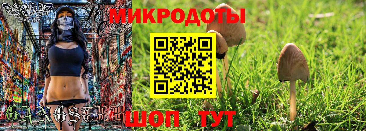 Галлюциногенные грибы Psilocybe Солнечногорск
